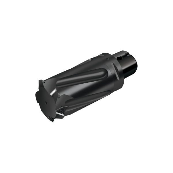 Walter Indexable insert thread milling cutter, Adjustable coolant supply: Rad T2713-73-C6-5-14